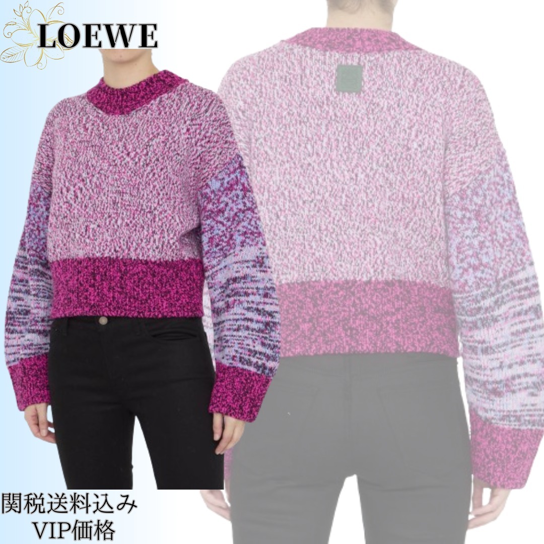 LOEWE  |Sweater in wool