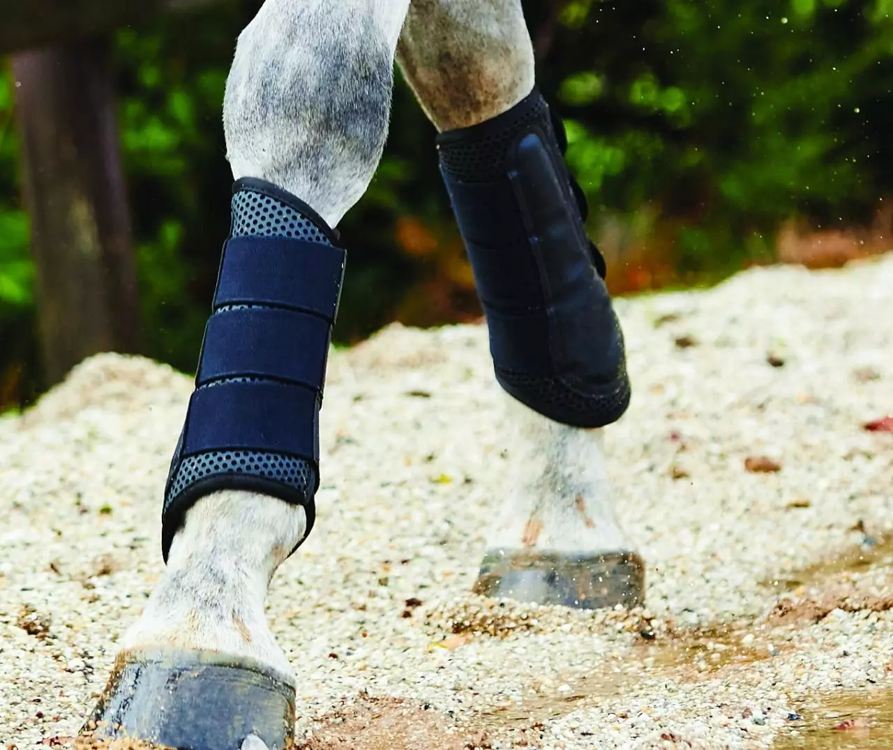 Weatherbeeta Exercise Boots 