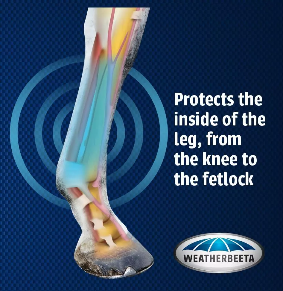 Weatherbeeta Exercise Boots 