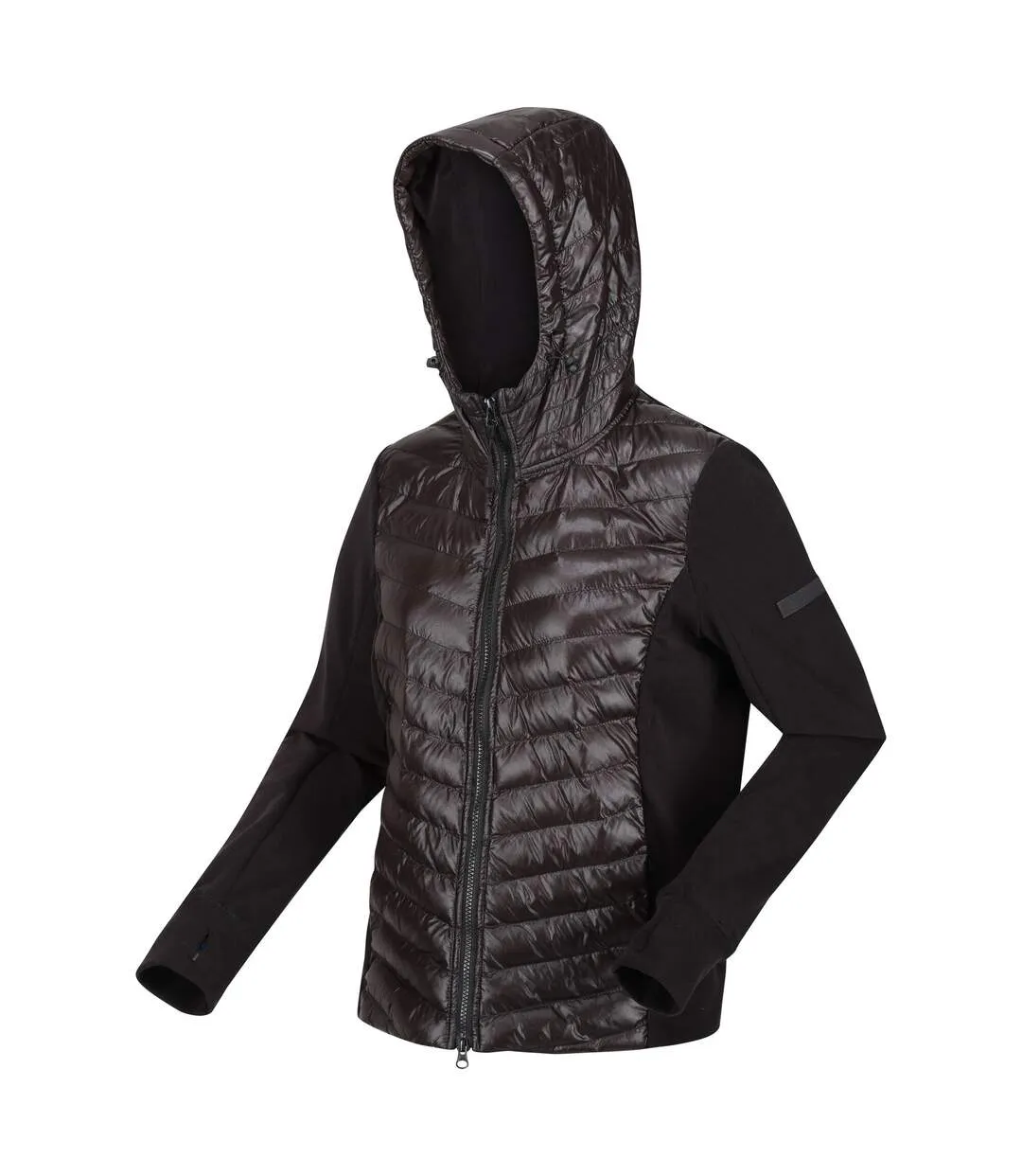 Womens/ladies kelton baffled padded jacket black Regatta